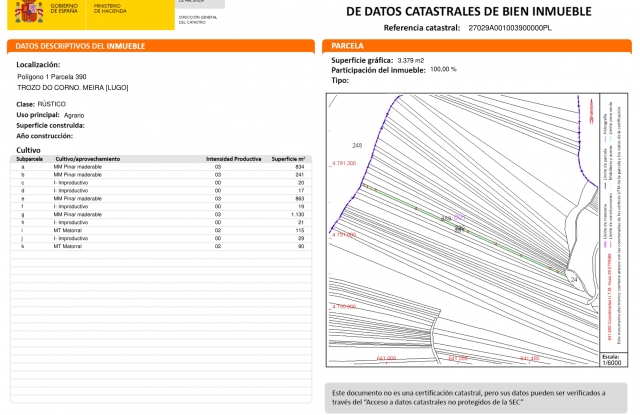 SOFOR- CORNO DA ORREA-1.jpg